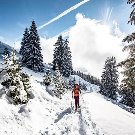 For 4 People With Pool * Châtel